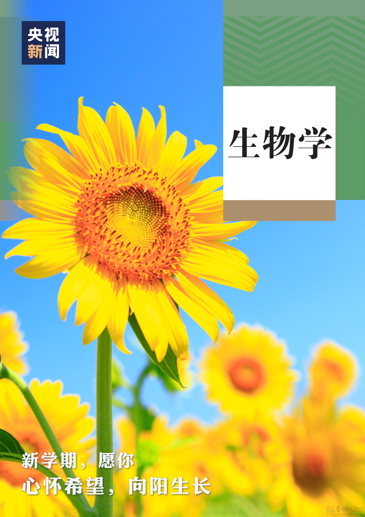 今 天 是 一 个 普 通 的 周 五161 / 作者:登山涉水 / 帖子ID:309865