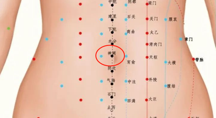 这个腹部最“脏”的地方，这样清洁反而连累内脏402 / 作者:健康小天使 / 帖子ID:310197