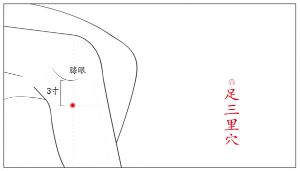 今年的秋老虎是「萌虎」！9件事让身体顺利“换季”188 / 作者:健康小天使 / 帖子ID:310380