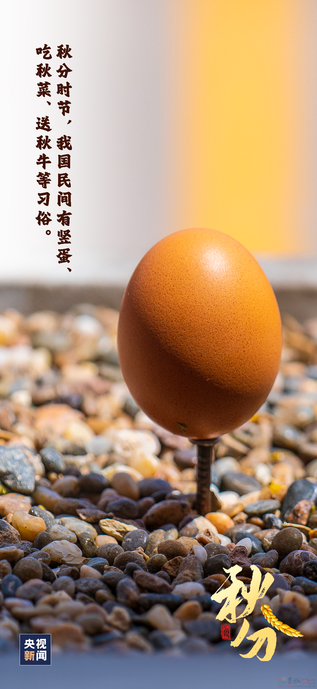 今日秋分534 / 作者:登山涉水 / 帖子ID:310487