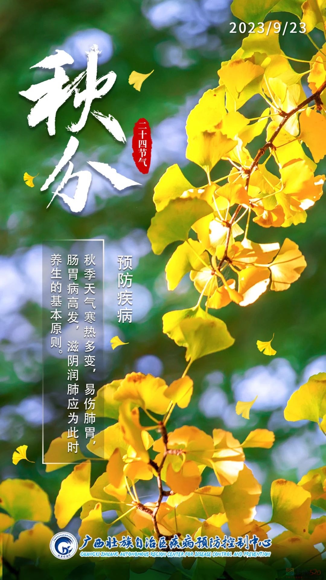 今日秋分 | 秋风扫落叶，昼夜等分长777 / 作者:健康小天使 / 帖子ID:310497