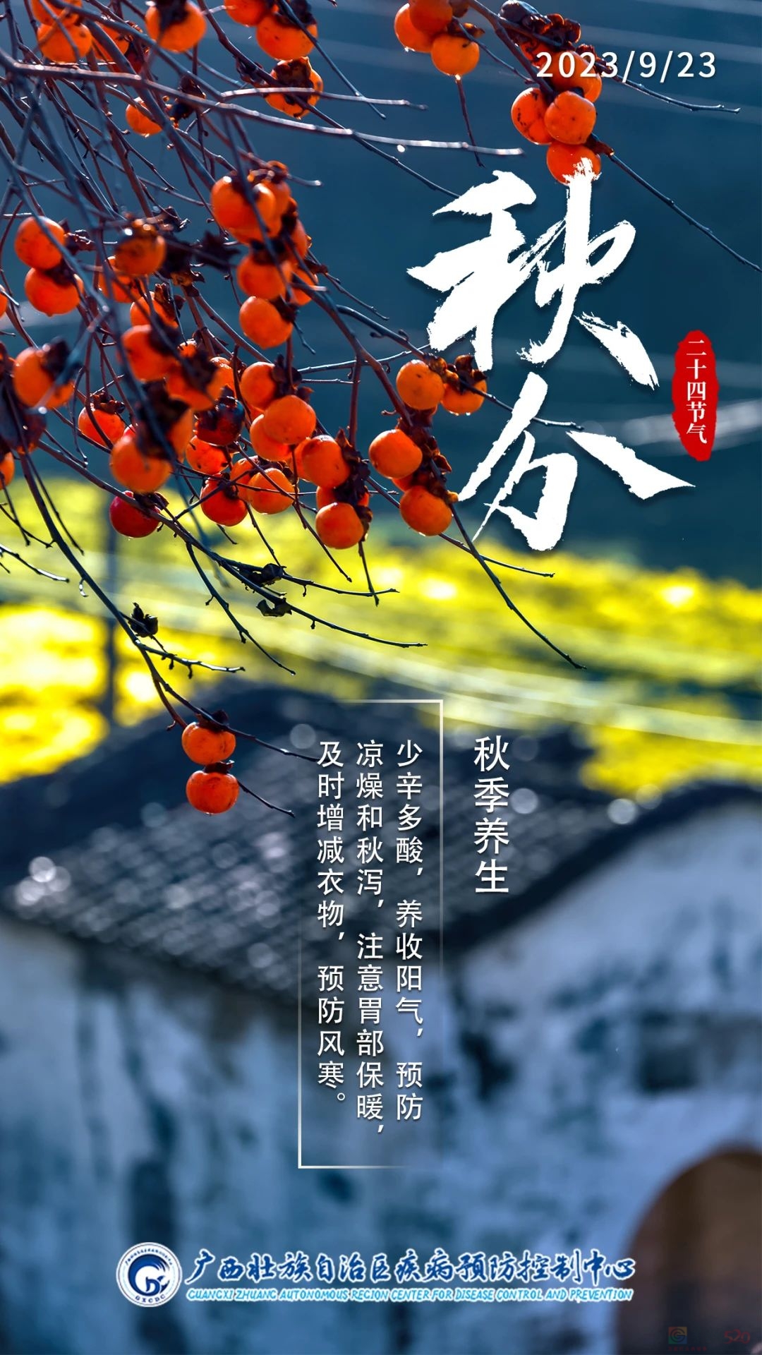 今日秋分 | 秋风扫落叶，昼夜等分长875 / 作者:健康小天使 / 帖子ID:310497