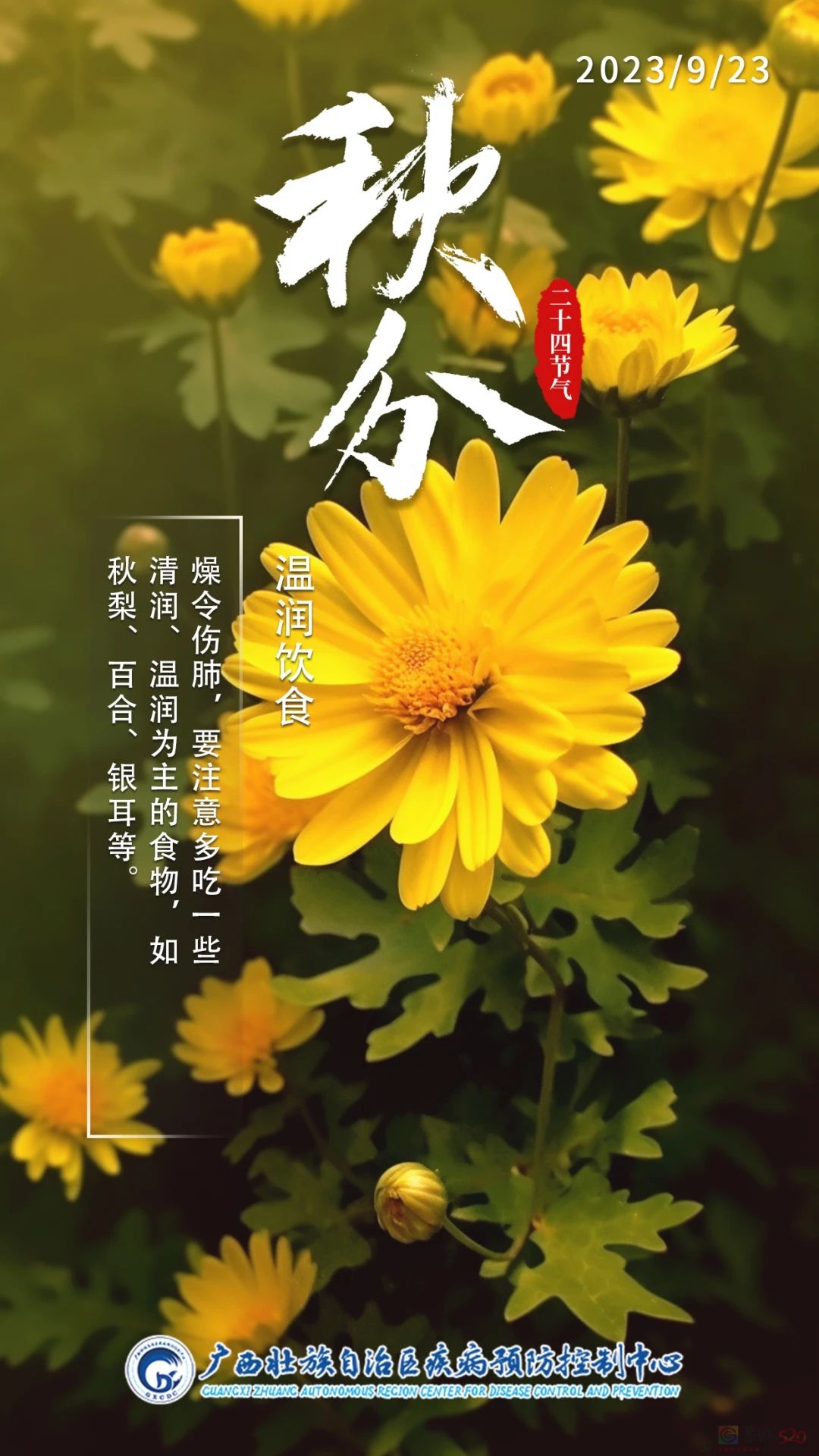今日秋分 | 秋风扫落叶，昼夜等分长905 / 作者:健康小天使 / 帖子ID:310497