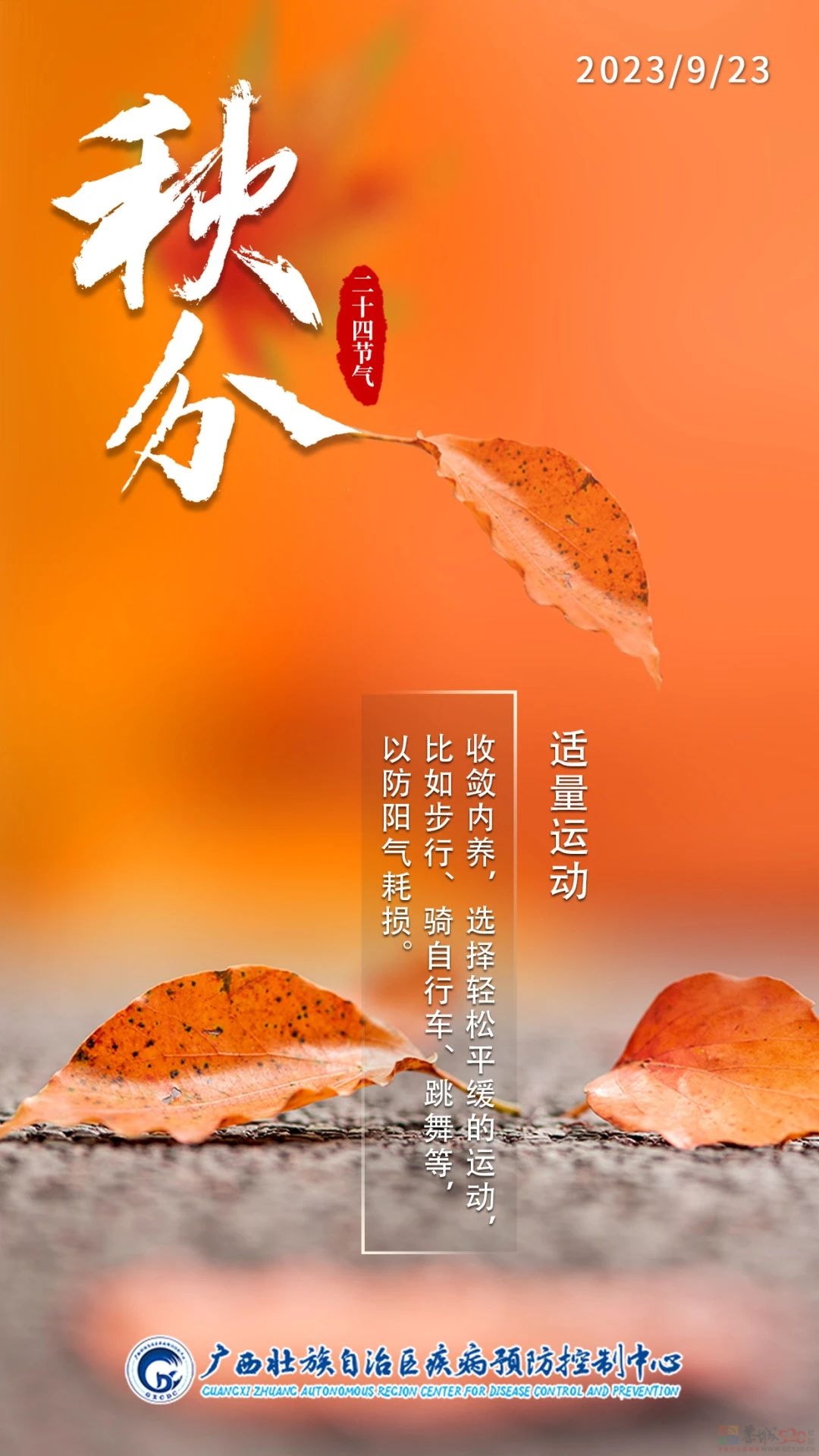 今日秋分 | 秋风扫落叶，昼夜等分长399 / 作者:健康小天使 / 帖子ID:310497