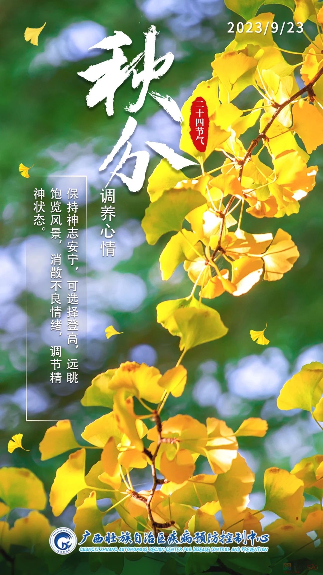 今日秋分 | 秋风扫落叶，昼夜等分长58 / 作者:健康小天使 / 帖子ID:310497