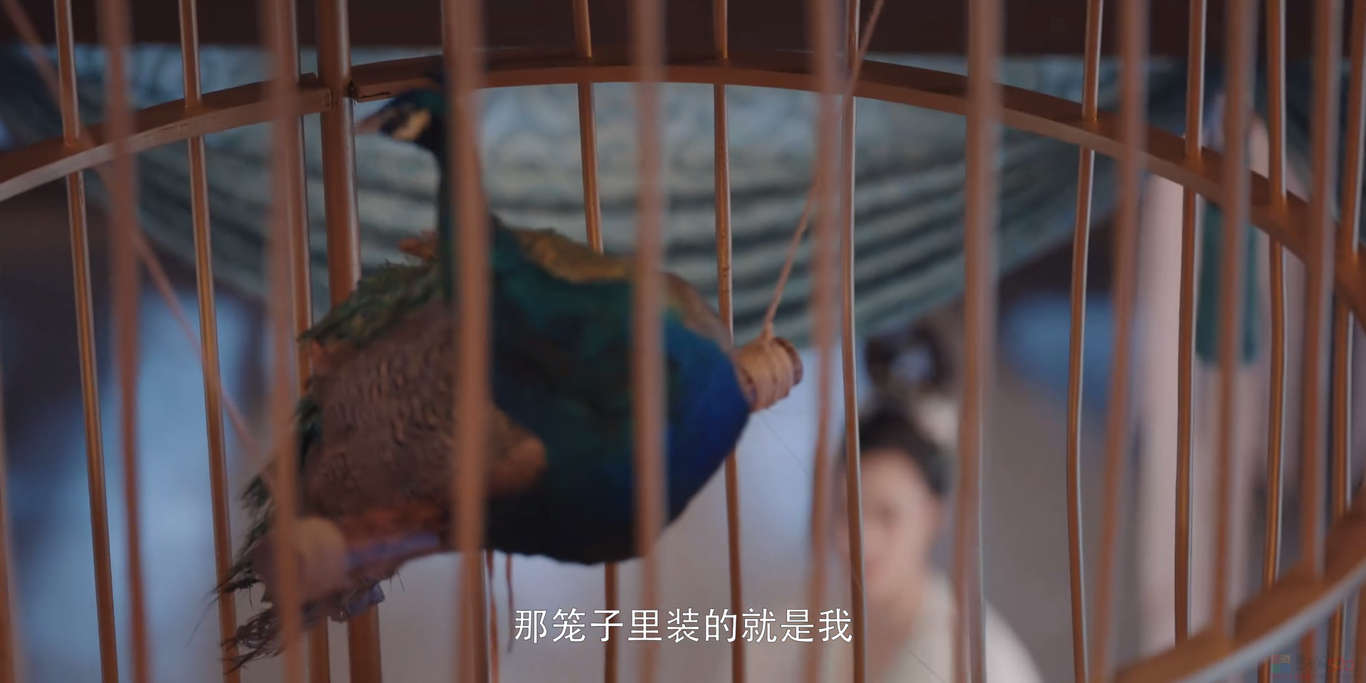 天，第一次有古装剧敢拍她186 / 作者:该做的事情 / 帖子ID:310597