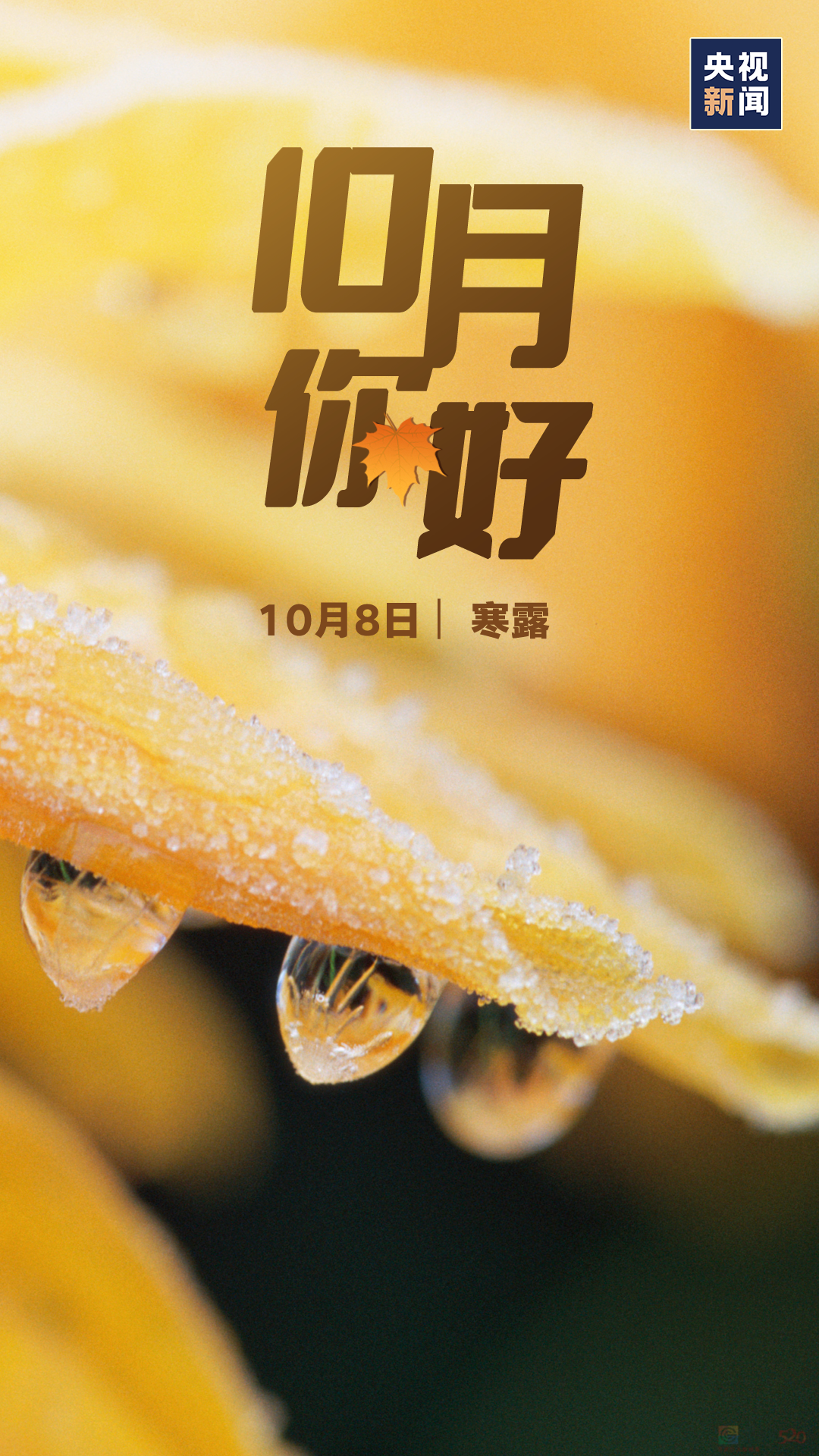 十月，你好！288 / 作者:登山涉水 / 帖子ID:310716
