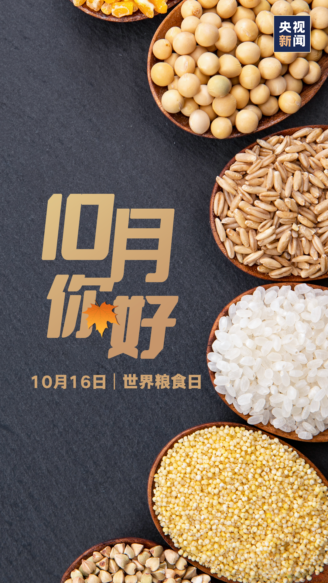 十月，你好！496 / 作者:登山涉水 / 帖子ID:310716