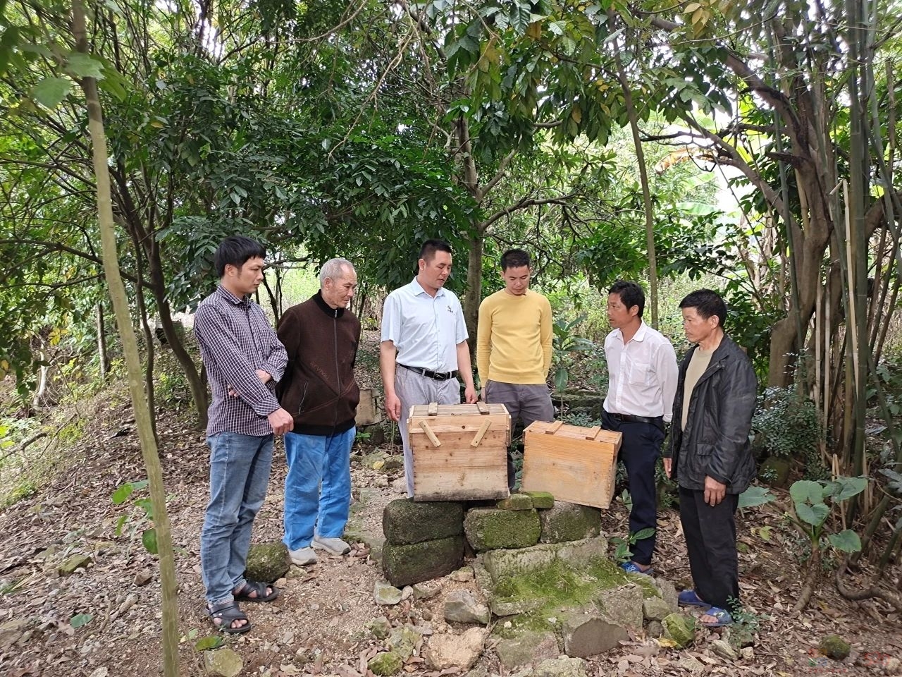 点赞！我县1人荣获全国“百强乡土人才”称号973 / 作者:论坛小编01 / 帖子ID:311009