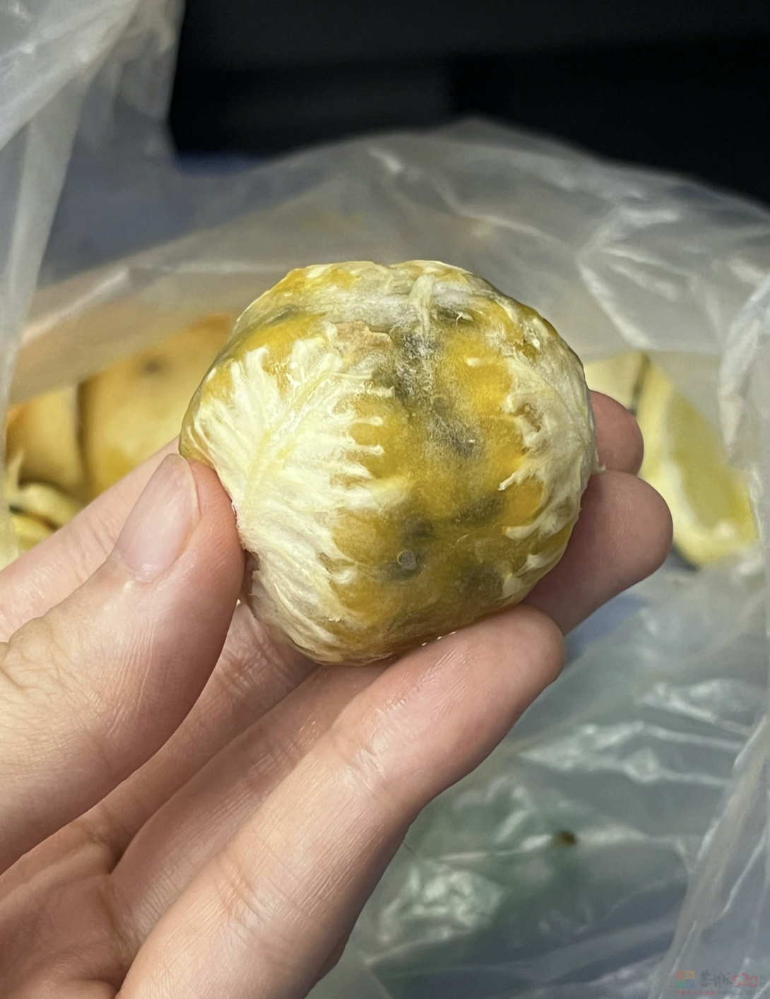 “真想有个广西的朋友啊~”997 / 作者:登山涉水 / 帖子ID:311064