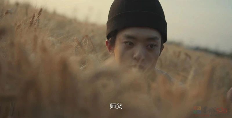 一集一尸，口碑登顶，国产悬疑又出息了！789 / 作者:该做的事情 / 帖子ID:311324