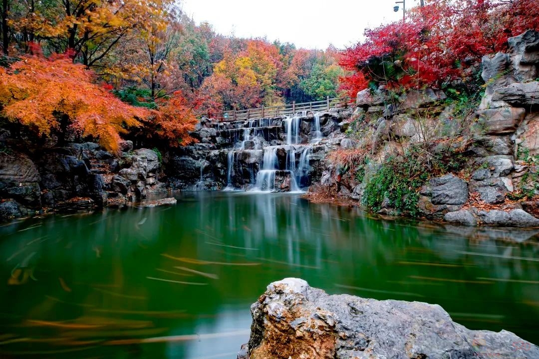 官宣！本月起，这些景区免门票104 / 作者:登山涉水 / 帖子ID:311589