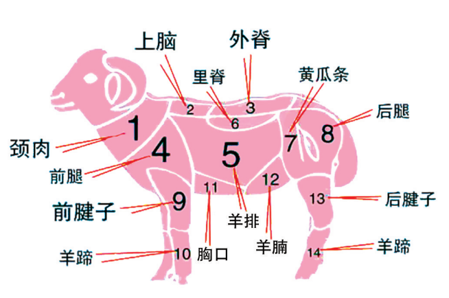 一到冬天，为什么中、西医都建议吃点羊肉918 / 作者:健康小天使 / 帖子ID:311938