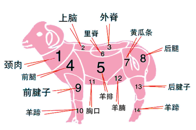 一到冬天，为什么中、西医都建议吃点羊肉736 / 作者:健康小天使 / 帖子ID:311938