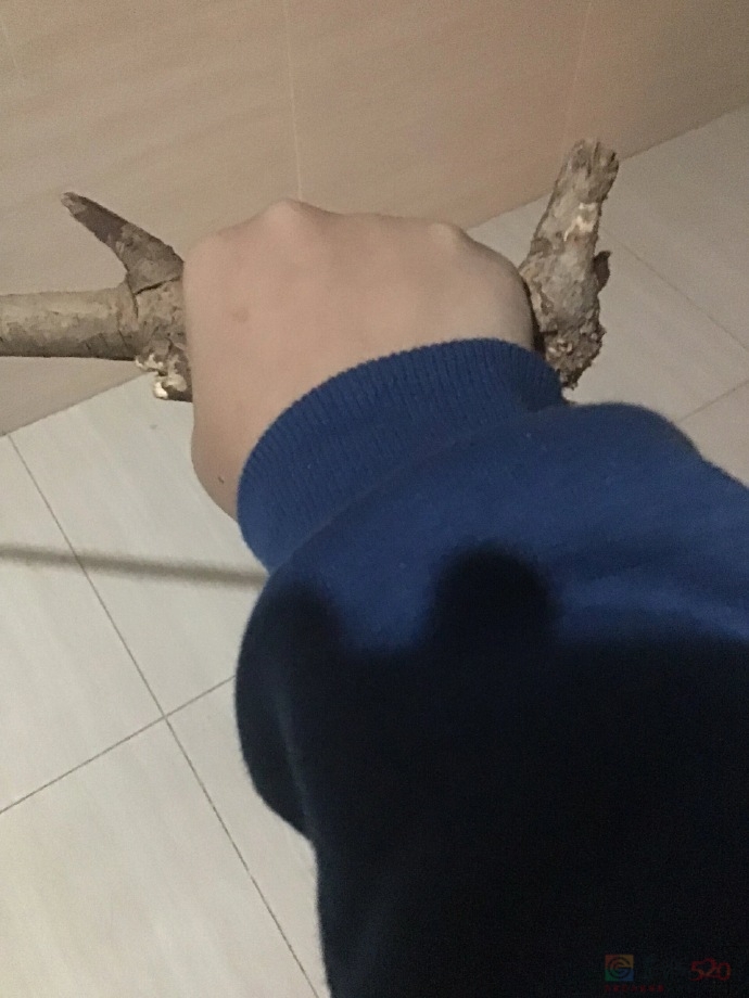 没人能拒绝一根形状完美的棍子152 / 作者:zero_river / 帖子ID:311960