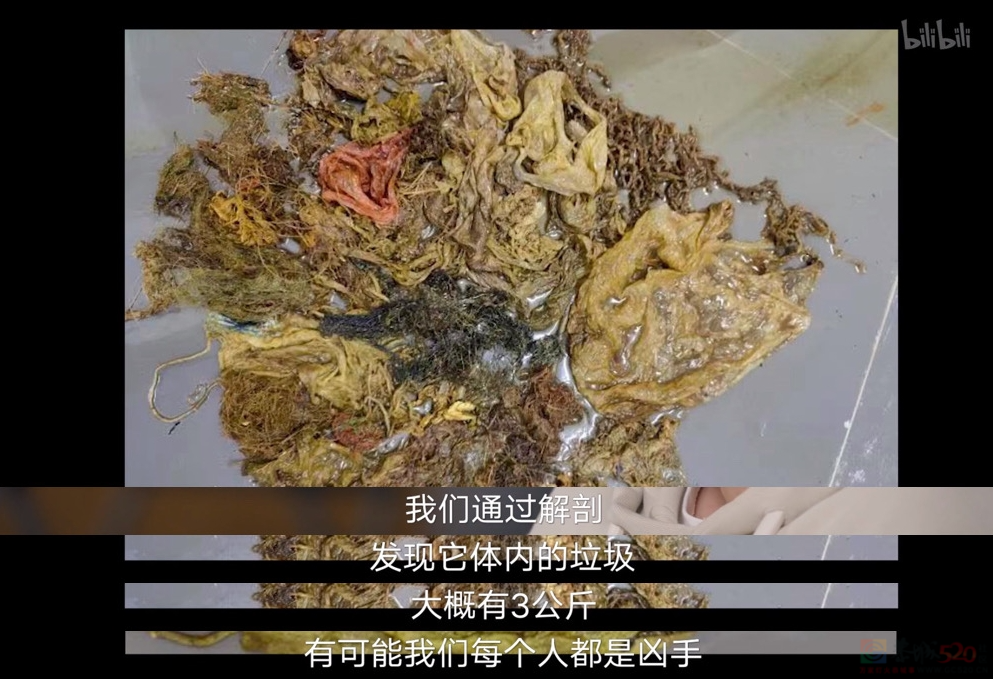 胡歌零片酬出演！连刷两集，这片果然值！452 / 作者:该做的事情 / 帖子ID:312020