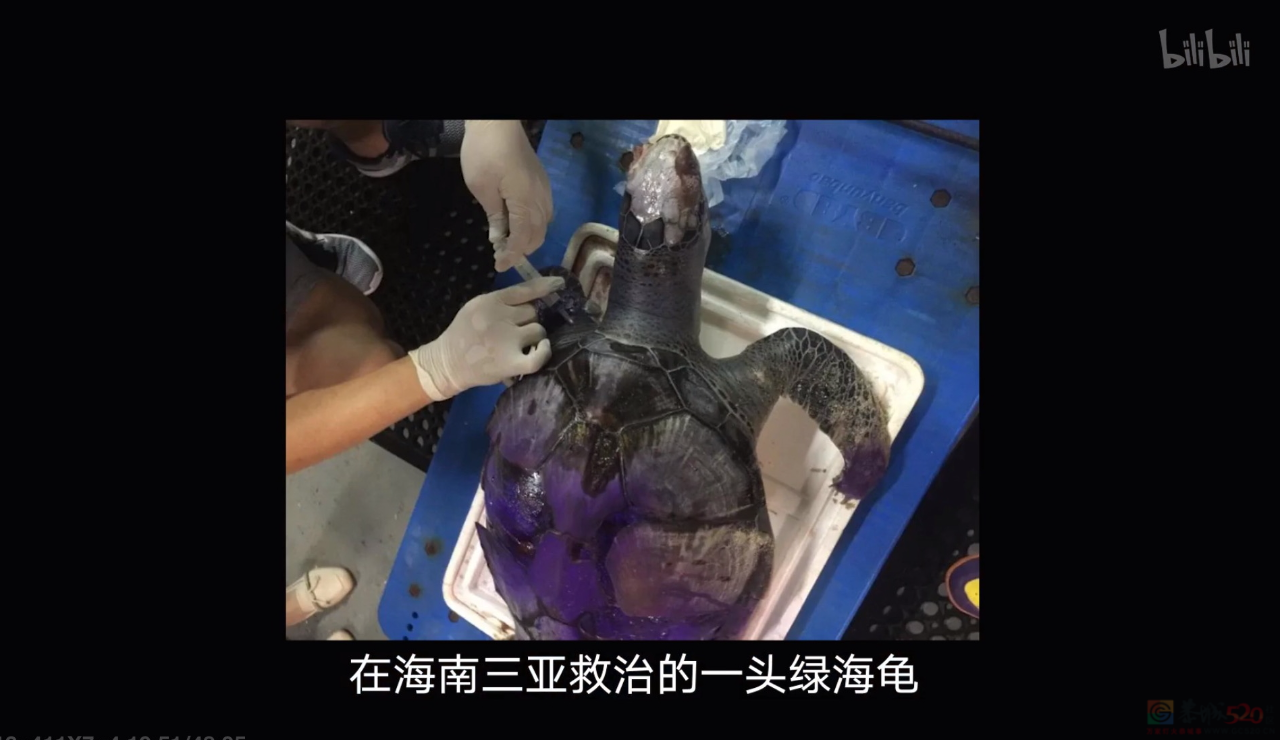胡歌零片酬出演！连刷两集，这片果然值！289 / 作者:该做的事情 / 帖子ID:312020