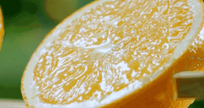 原来丑橘不是橘子！奇怪的知识又增加了……439 / 作者:健康小天使 / 帖子ID:312085