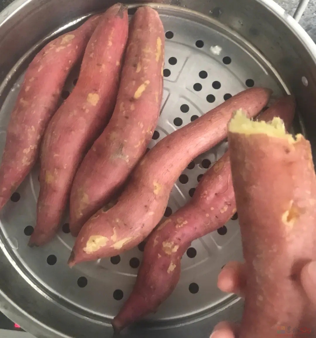 吃薯不忘偷藤人580 / 作者:Creseda / 帖子ID:312257