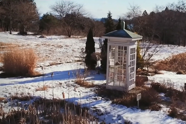 人死了，号咋办？527 / 作者:儿时的回忆 / 帖子ID:312318