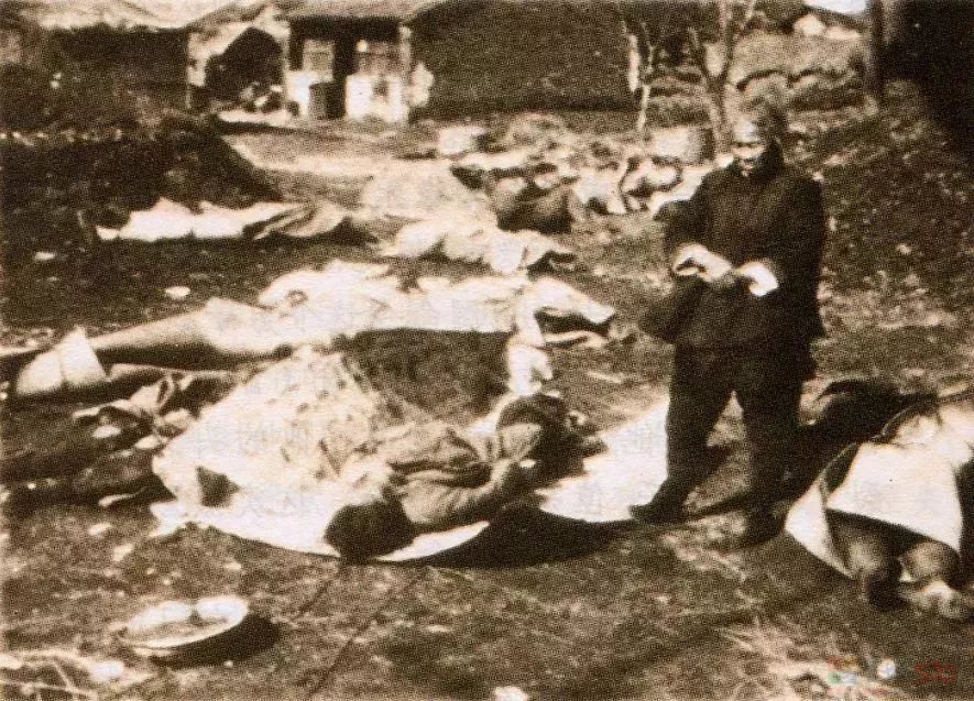 86年了，为什么我们不能忘记？495 / 作者:登山涉水 / 帖子ID:312484