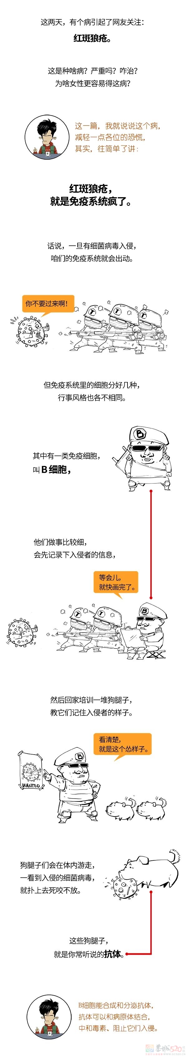 红斑狼疮是啥病？为啥女性更容易得？903 / 作者:儿时的回忆 / 帖子ID:312505