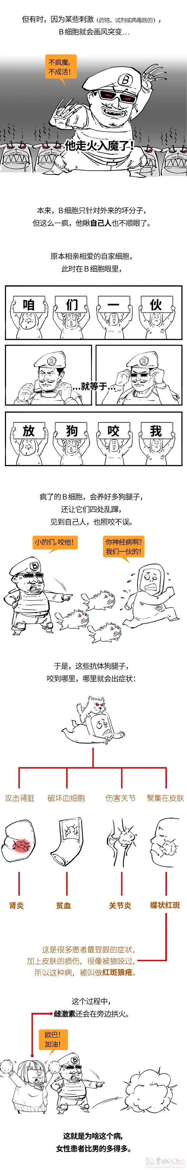 红斑狼疮是啥病？为啥女性更容易得？473 / 作者:儿时的回忆 / 帖子ID:312505