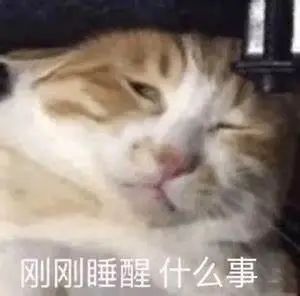 熬的夜睡两天补回来？你可知道周末补觉危害比熬夜还大！544 / 作者:健康小天使 / 帖子ID:312560