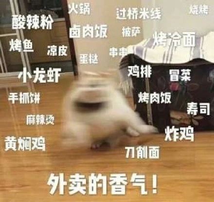 “睡前吃宵夜”和“饿肚子睡觉”，哪个危害更大？答案让人意外！872 / 作者:健康小天使 / 帖子ID:312584