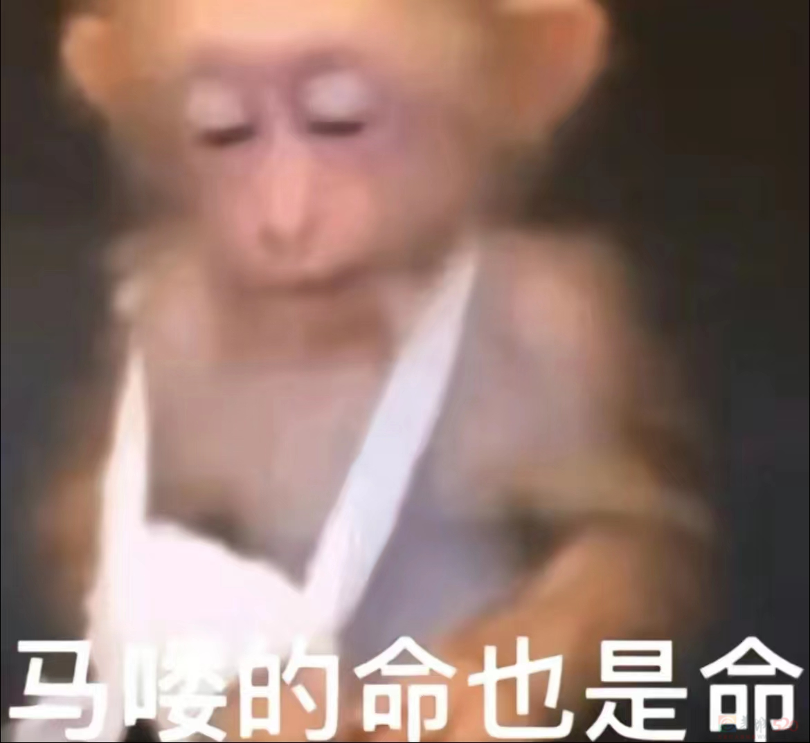 被吗喽表情包搞破防，是每个悲惨打工人的共同宿命177 / 作者:儿时的回忆 / 帖子ID:312633