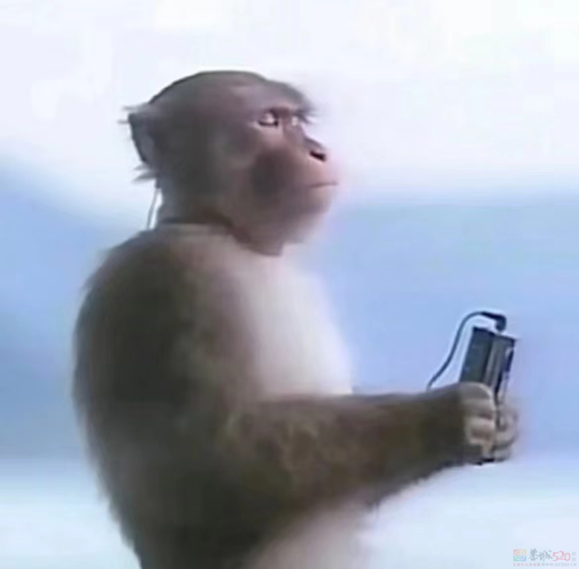 被吗喽表情包搞破防，是每个悲惨打工人的共同宿命399 / 作者:儿时的回忆 / 帖子ID:312633