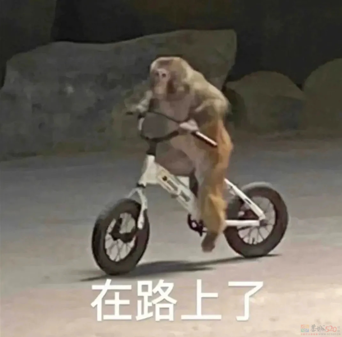 被吗喽表情包搞破防，是每个悲惨打工人的共同宿命983 / 作者:儿时的回忆 / 帖子ID:312633