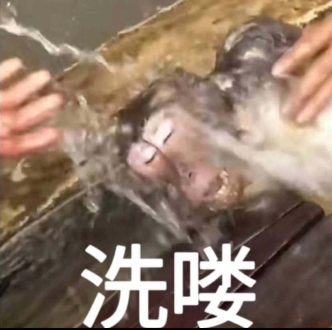 被吗喽表情包搞破防，是每个悲惨打工人的共同宿命601 / 作者:儿时的回忆 / 帖子ID:312633