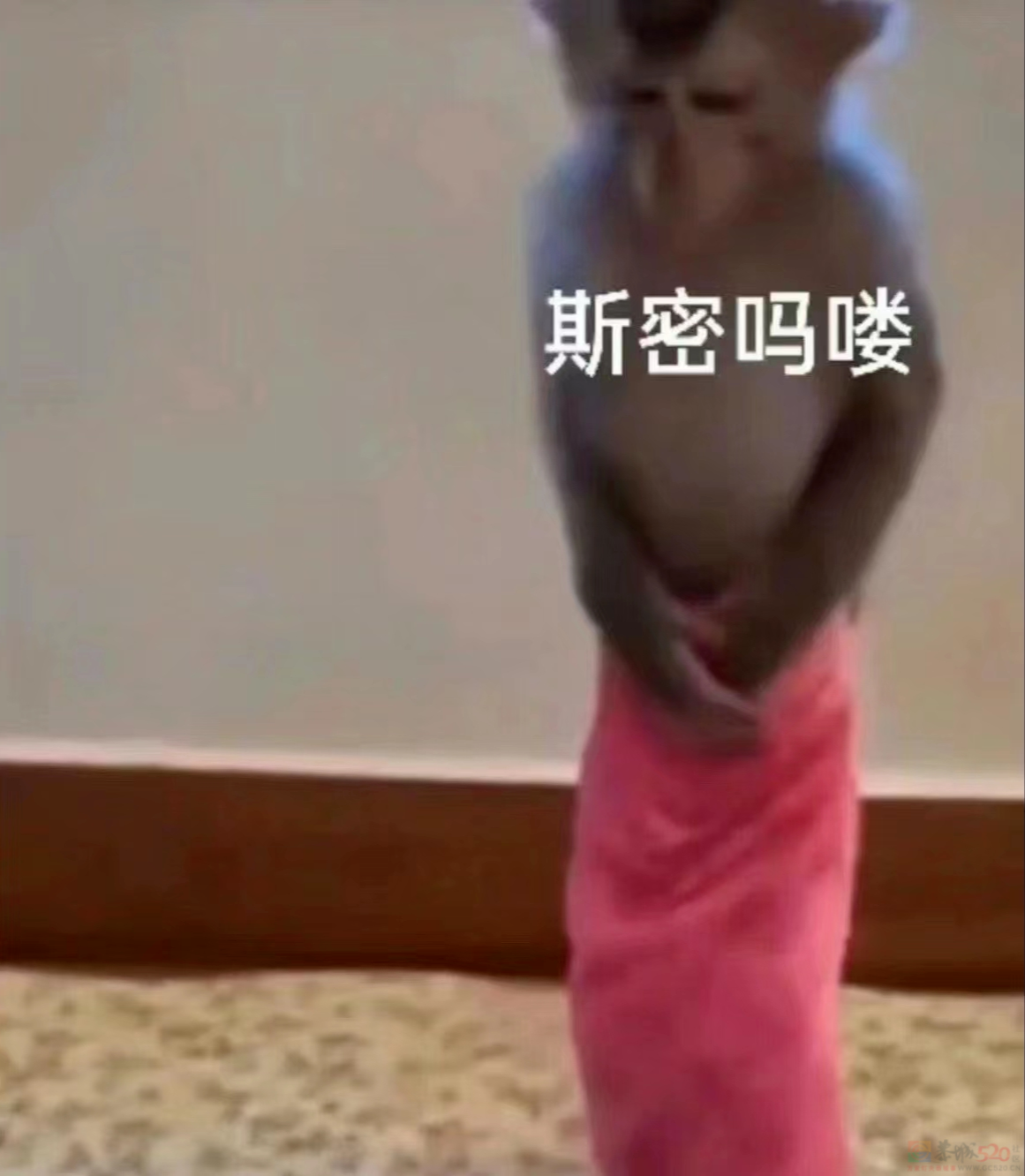 被吗喽表情包搞破防，是每个悲惨打工人的共同宿命907 / 作者:儿时的回忆 / 帖子ID:312633