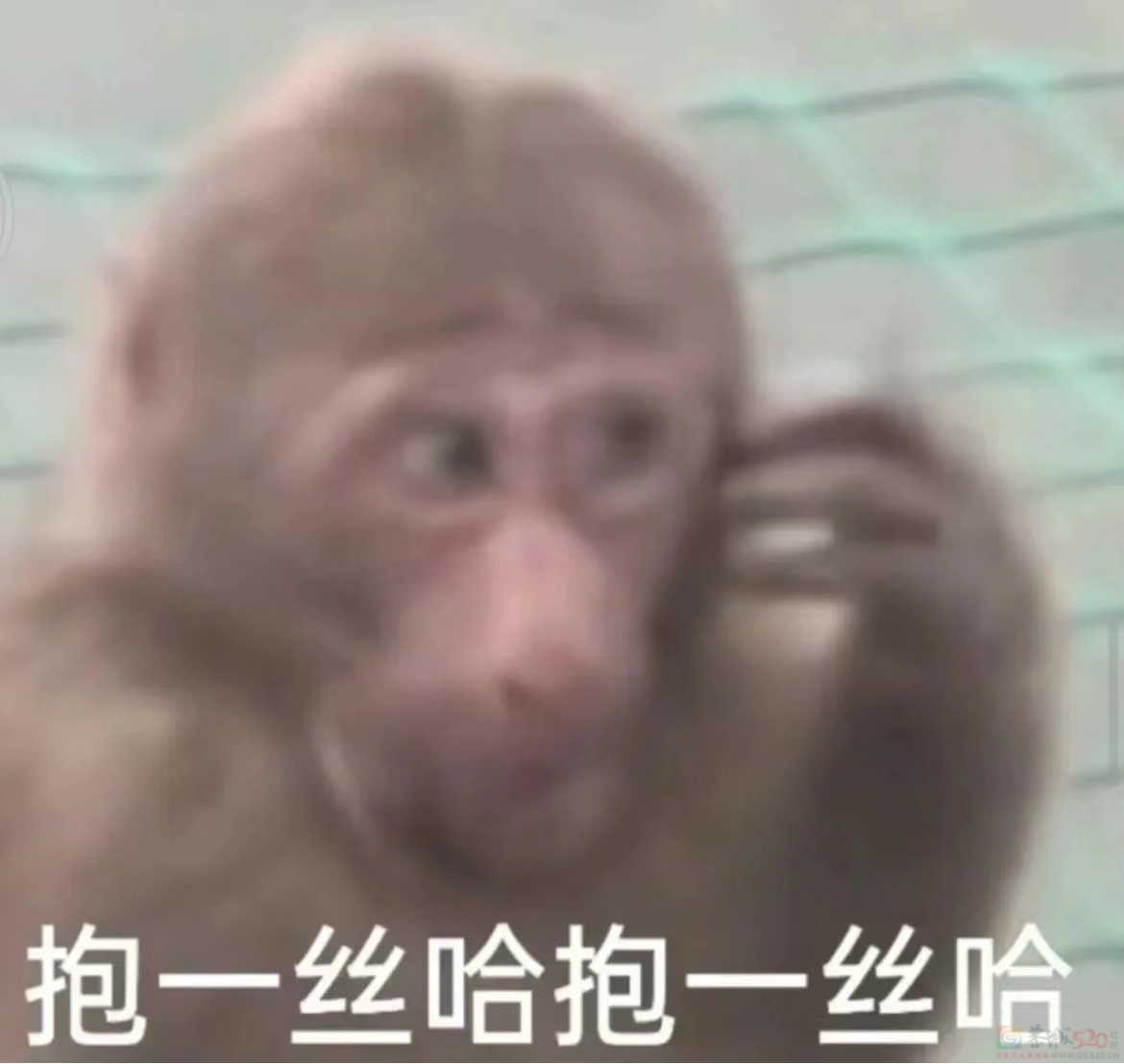 被吗喽表情包搞破防，是每个悲惨打工人的共同宿命308 / 作者:儿时的回忆 / 帖子ID:312633