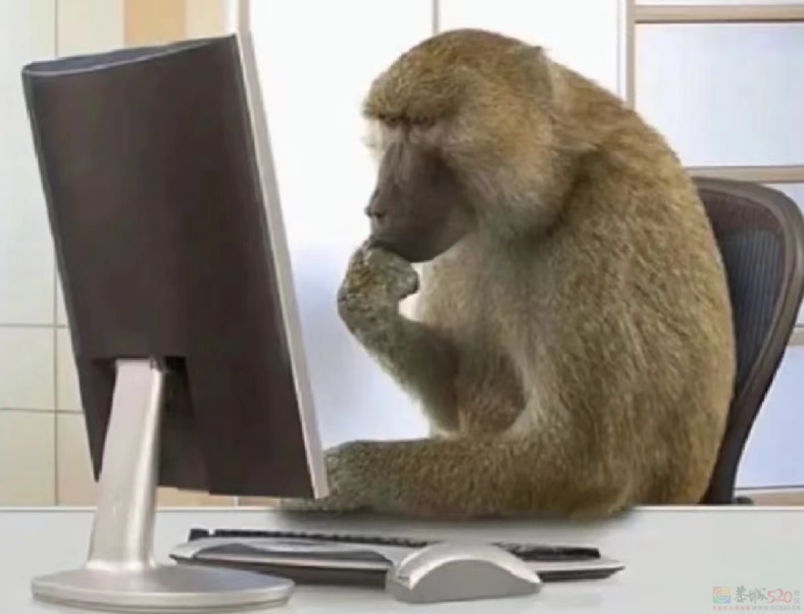 被吗喽表情包搞破防，是每个悲惨打工人的共同宿命28 / 作者:儿时的回忆 / 帖子ID:312633