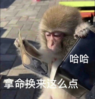 被吗喽表情包搞破防，是每个悲惨打工人的共同宿命248 / 作者:儿时的回忆 / 帖子ID:312633