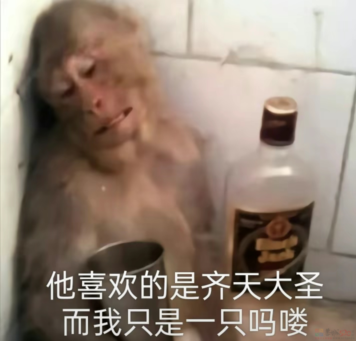 被吗喽表情包搞破防，是每个悲惨打工人的共同宿命990 / 作者:儿时的回忆 / 帖子ID:312633