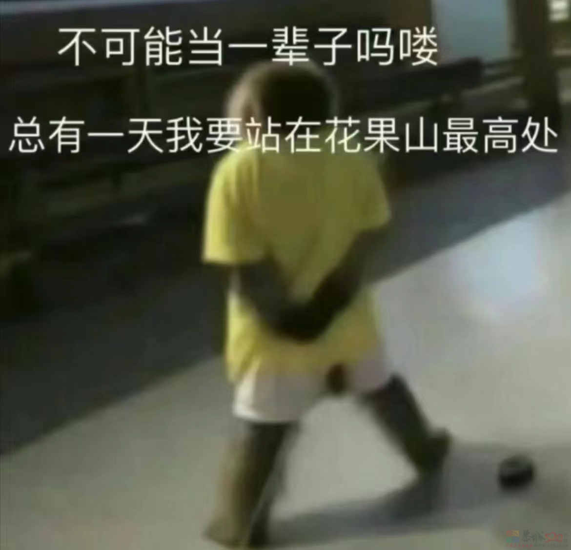 被吗喽表情包搞破防，是每个悲惨打工人的共同宿命918 / 作者:儿时的回忆 / 帖子ID:312633