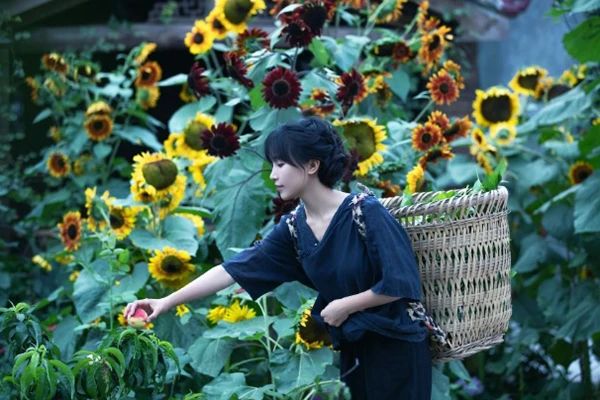 董宇辉，头部主播中的“最穷”顶流？269 / 作者:儿时的回忆 / 帖子ID:312645