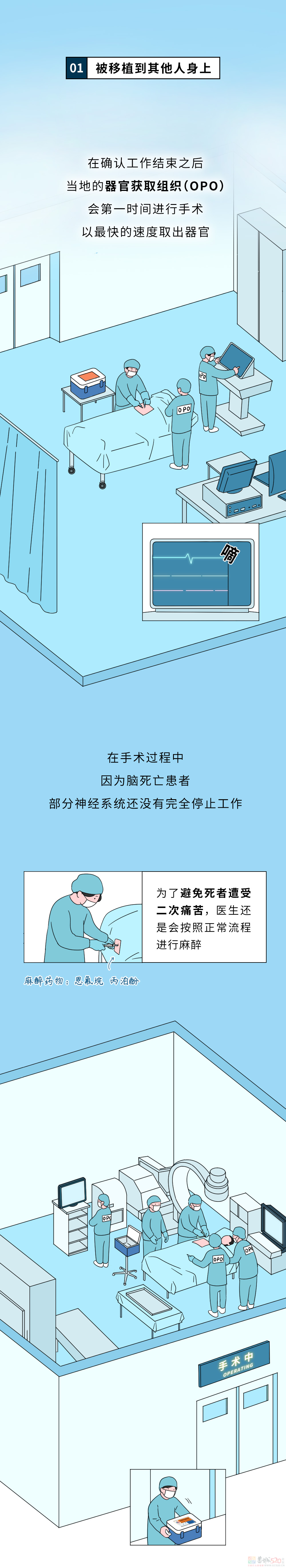 死后捐赠出去的身体，最后都会怎么处理？28 / 作者:儿时的回忆 / 帖子ID:312702
