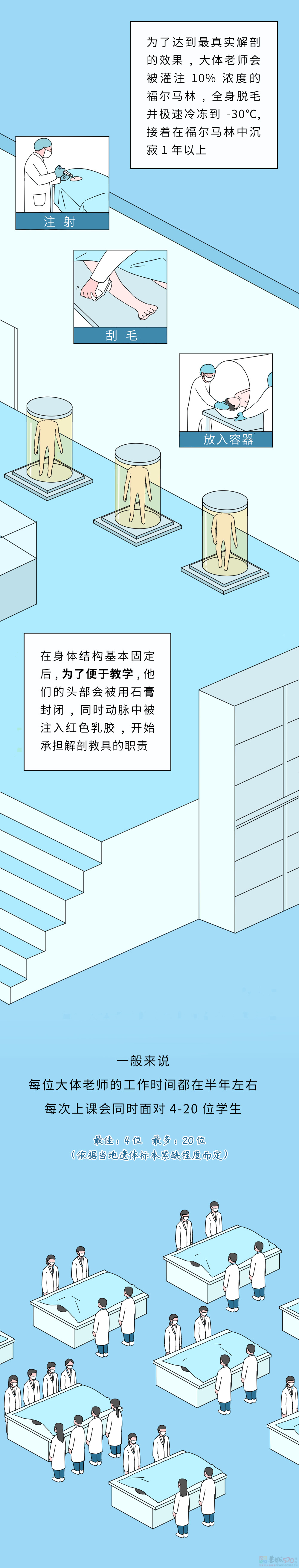死后捐赠出去的身体，最后都会怎么处理？684 / 作者:儿时的回忆 / 帖子ID:312702