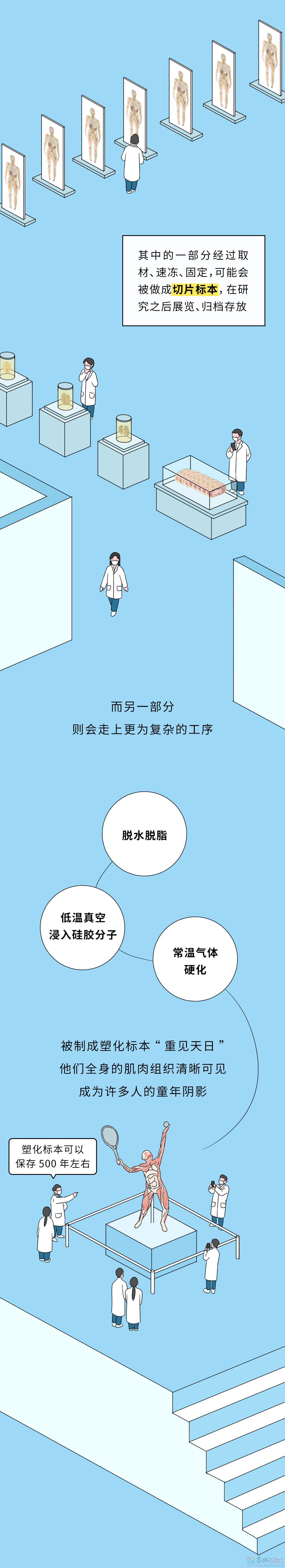 死后捐赠出去的身体，最后都会怎么处理？359 / 作者:儿时的回忆 / 帖子ID:312702