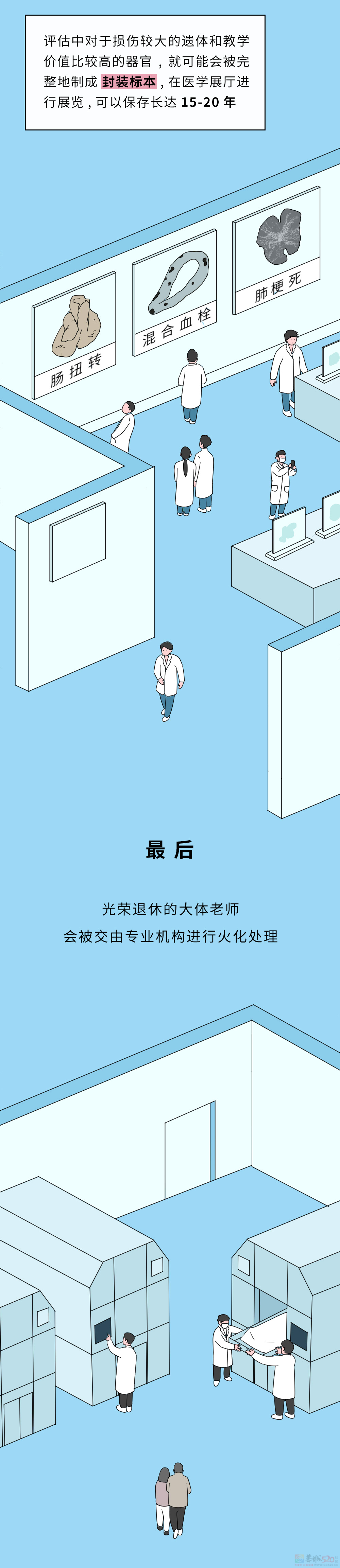 死后捐赠出去的身体，最后都会怎么处理？817 / 作者:儿时的回忆 / 帖子ID:312702