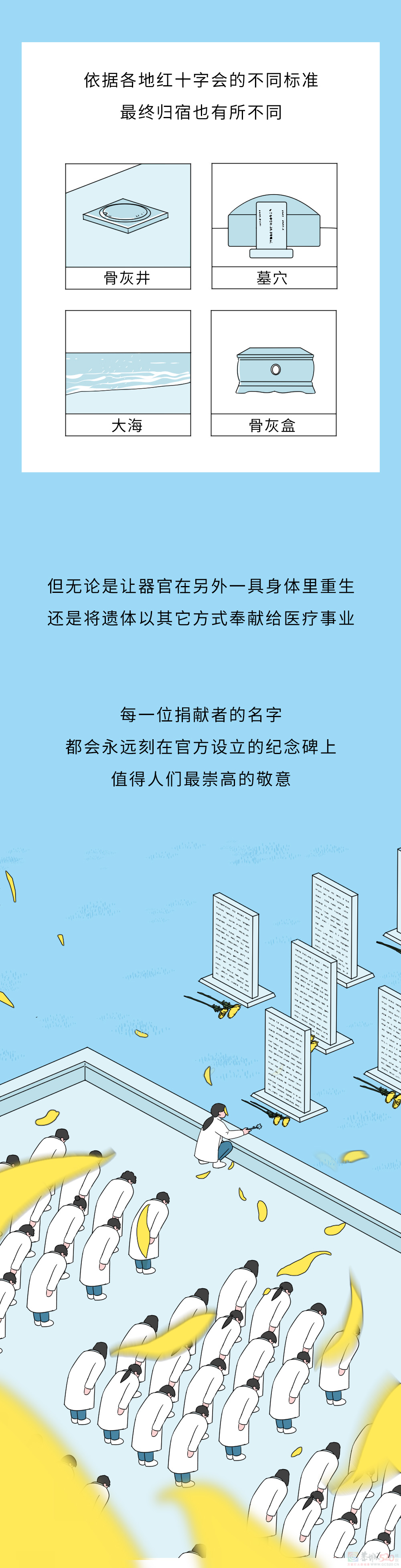 死后捐赠出去的身体，最后都会怎么处理？547 / 作者:儿时的回忆 / 帖子ID:312702