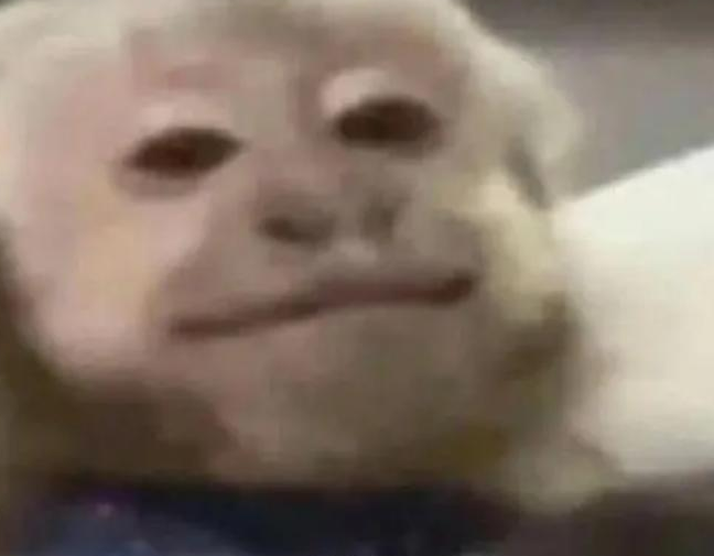 低温预警解除，广西又要热起来了！专家：明年天气“忽冷忽热”将更严重......96 / 作者:尹以为荣 / 帖子ID:312765