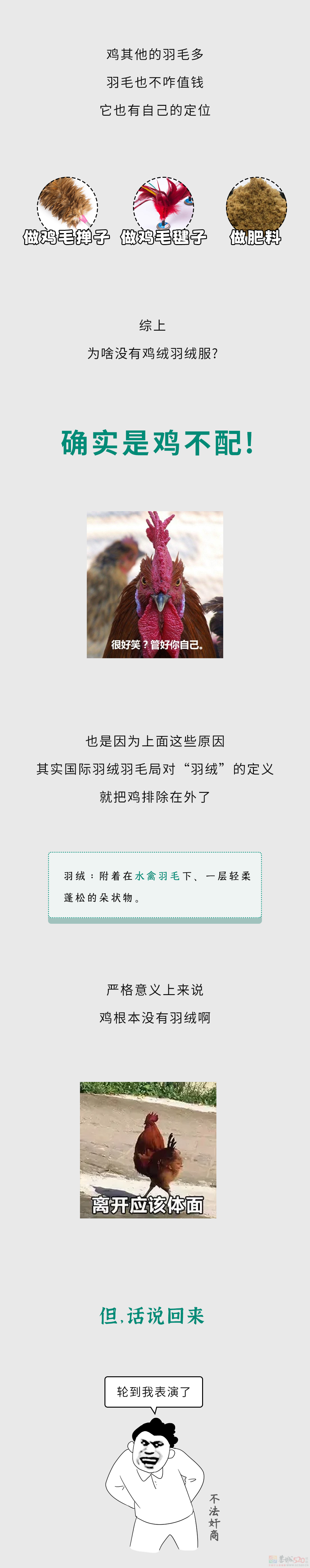 为什么有鸭绒、鹅绒，却没有鸡绒羽绒服？？543 / 作者:儿时的回忆 / 帖子ID:312846