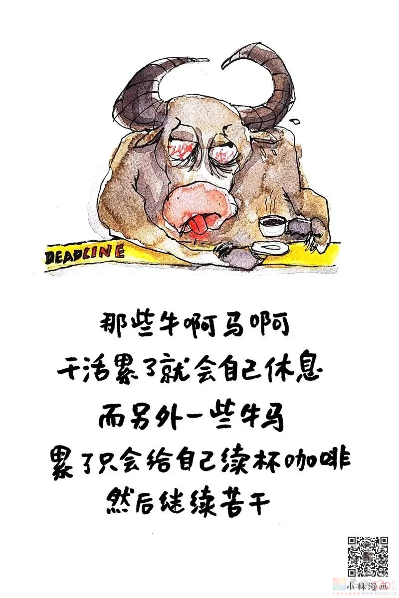 2023再见，2024你好277 / 作者:登山涉水 / 帖子ID:312858