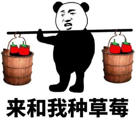 洗草莓千万别摘草莓蒂！原因是......184 / 作者:健康小天使 / 帖子ID:312864
