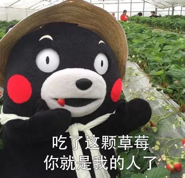 洗草莓千万别摘草莓蒂！原因是......56 / 作者:健康小天使 / 帖子ID:312864
